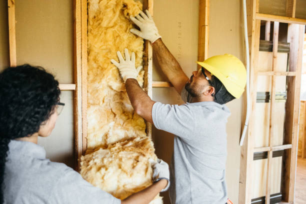 Best Eco-Friendly or Green Insulation Solutions  in Buffalo Grove, IL