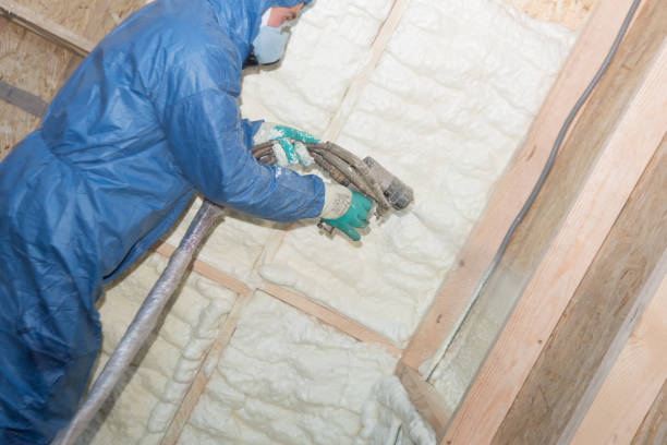 Best Thermal Imaging for Insulation Gaps  in Buffalo Grove, IL